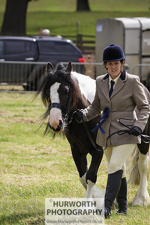 2015 Ossy Show -79