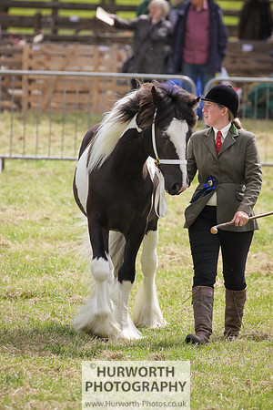 2015 Ossy Show -80