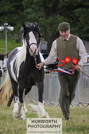 2015 Ossy Show -81