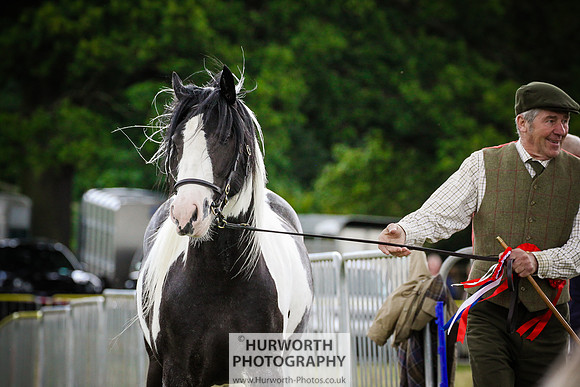 2015 Ossy Show -82