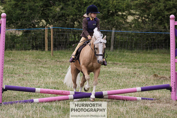 2015 Ossy Show -75