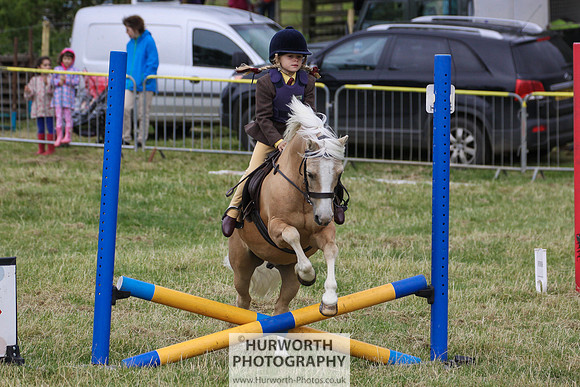 2015 Ossy Show -76