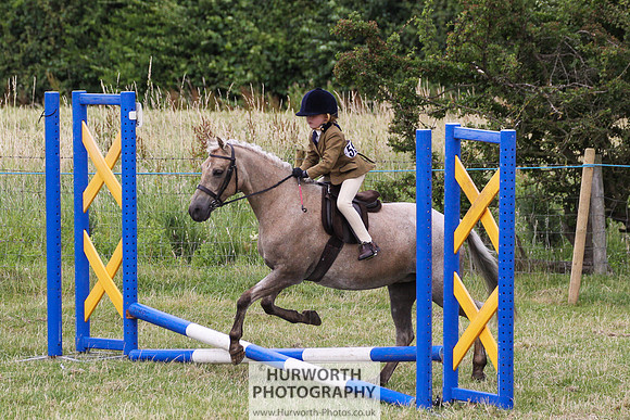 2015 Ossy Show -85