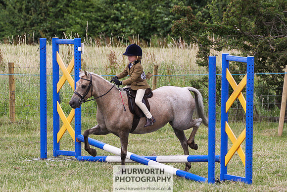 2015 Ossy Show -86