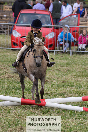 2015 Ossy Show -90