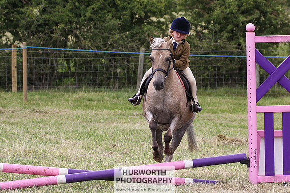 2015 Ossy Show -92
