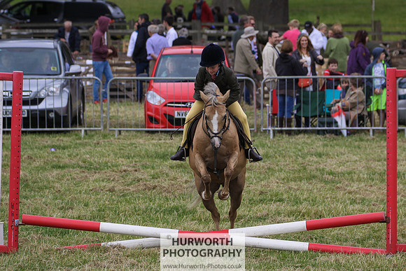 2015 Ossy Show -96
