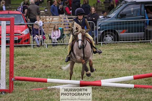 2015 Ossy Show -16