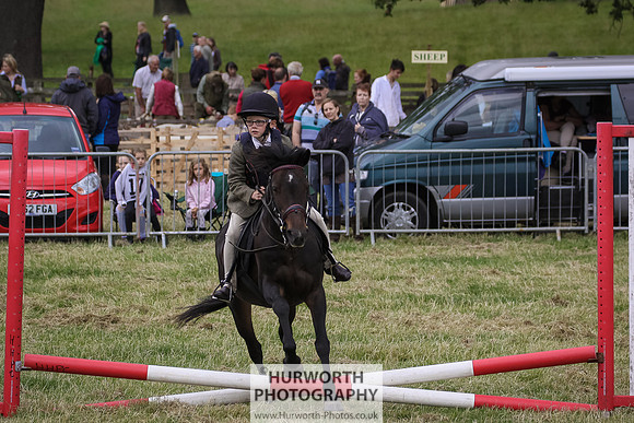 2015 Ossy Show -26
