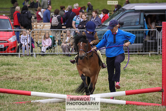 2015 Ossy Show -31