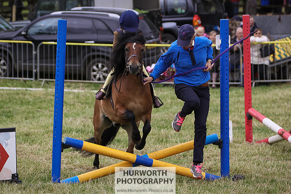 2015 Ossy Show -37