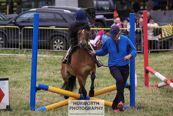 2015 Ossy Show -38