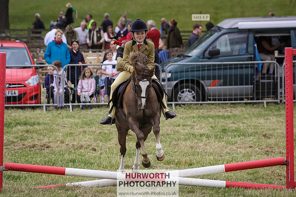 2015 Ossy Show -39