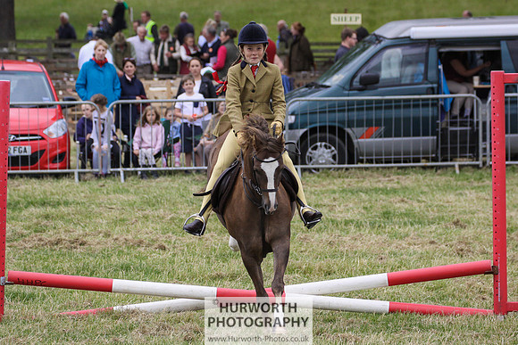 2015 Ossy Show -40