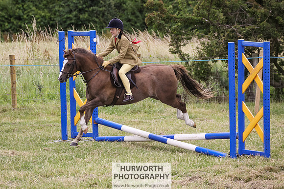 2015 Ossy Show -41