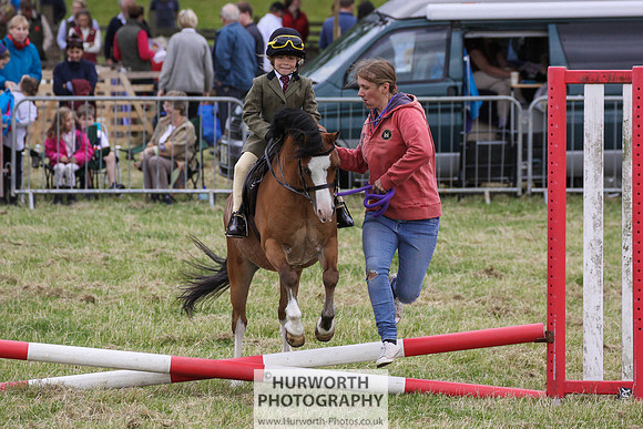 2015 Ossy Show -52
