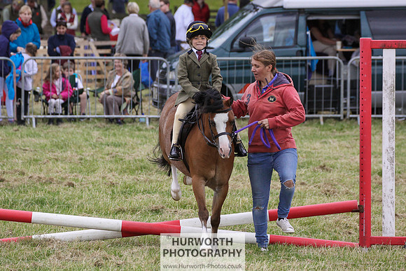 2015 Ossy Show -53