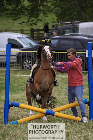 2015 Ossy Show -63
