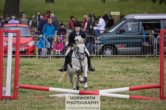 2015 Ossy Show -64