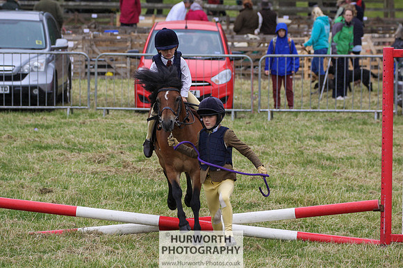 2015 Ossy Show -118