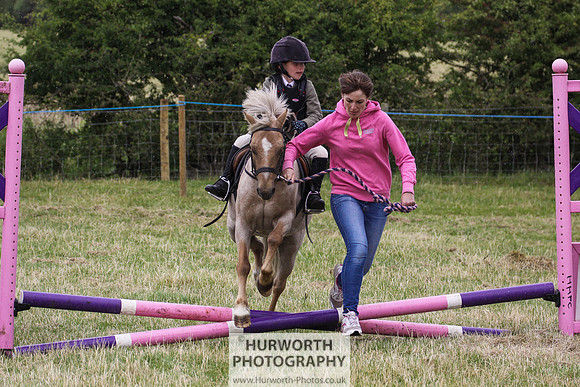 2015 Ossy Show -119