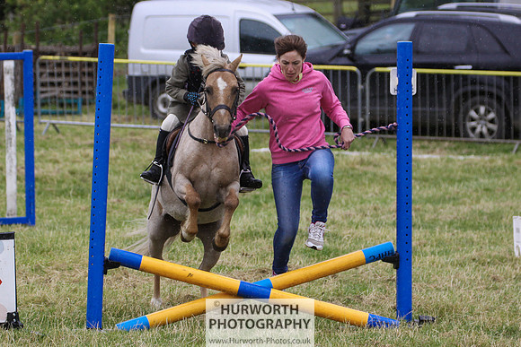 2015 Ossy Show -120