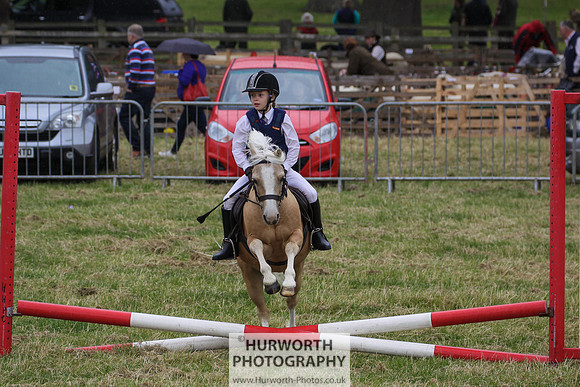 2015 Ossy Show -122