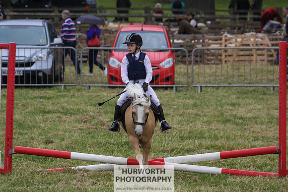 2015 Ossy Show -123
