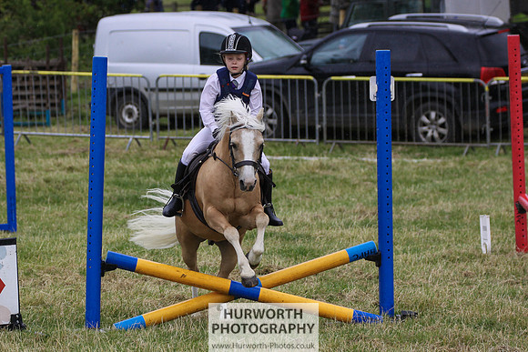 2015 Ossy Show -130