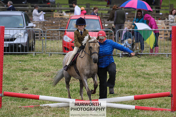 2015 Ossy Show -132