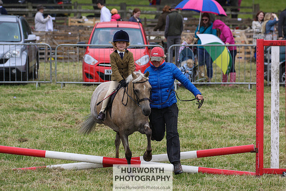 2015 Ossy Show -133