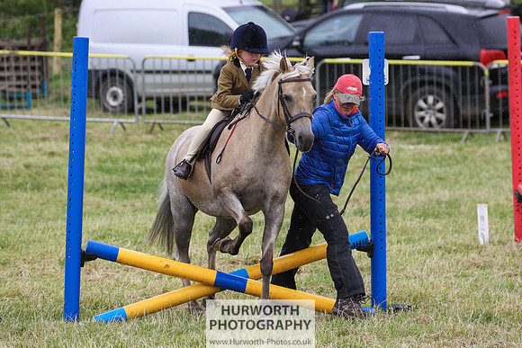 2015 Ossy Show -138