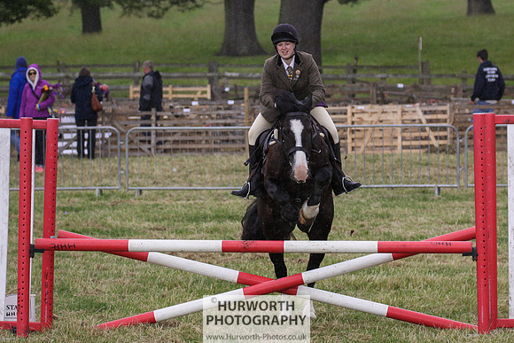 2015 Ossy Show -236
