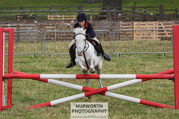2015 Ossy Show -284