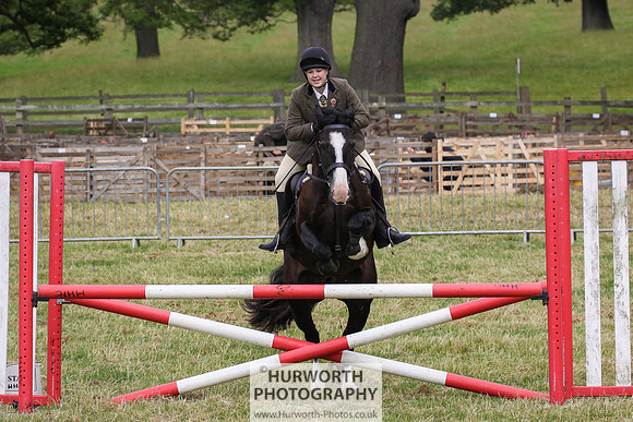 2015 Ossy Show -286
