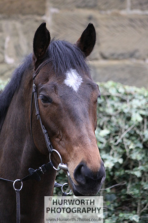 Hurworth 001