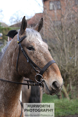 Hurworth 019