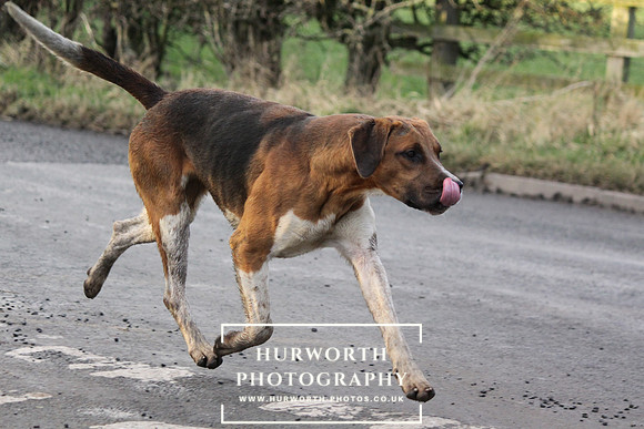 Hurworth 080