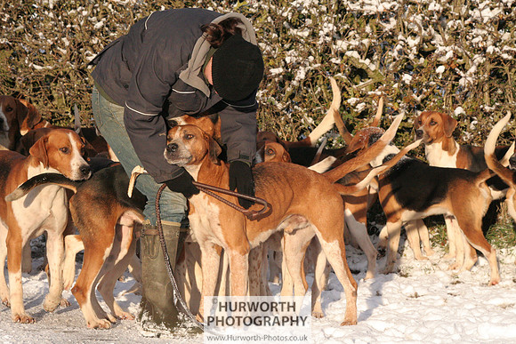 Hurworth Hound Exercise 013