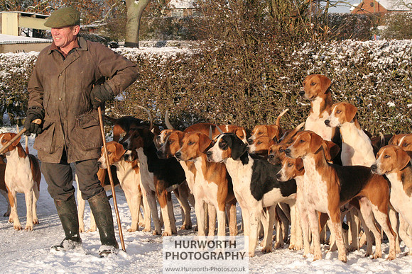Hurworth Hound Exercise 018