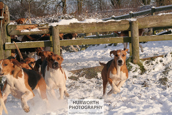 Hurworth Hound Exercise 025