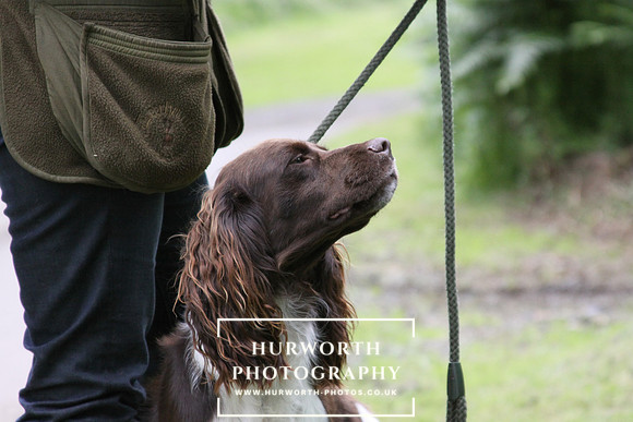 Ladies Shooting 018
