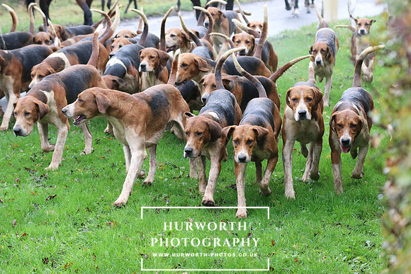 Hurworth Hunt 441