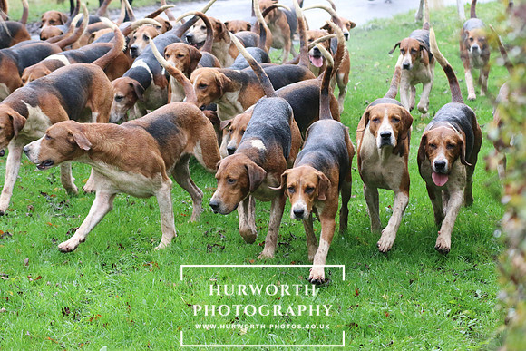 Hurworth Hunt 442