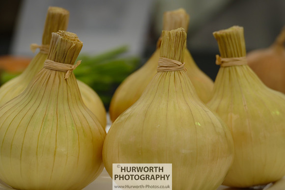 2015 RHS Tatton -23