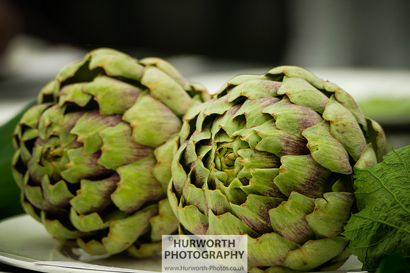 2015 RHS Tatton -24