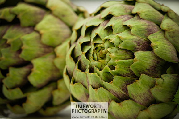 2015 RHS Tatton -25