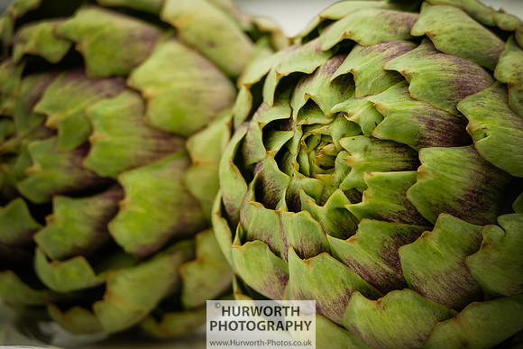 2015 RHS Tatton -26