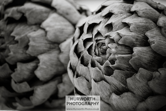 2015 RHS Tatton -27