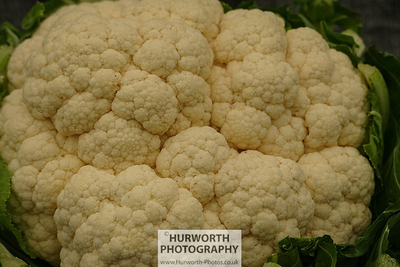 2015 RHS Tatton -32